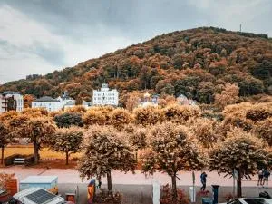 Palatium Bad Ems - Gutenacker