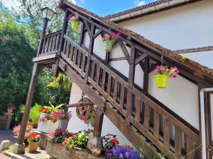 Appartements Gite Le Balcon Flaubert : photos des chambres