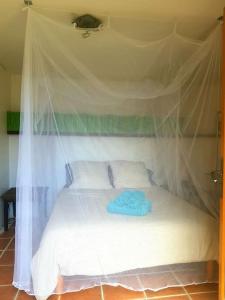 Cactus Omstay Studio jacuzzi Vallée du loup