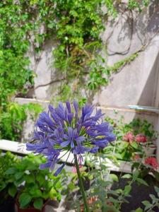 Udobna soba za dvoje