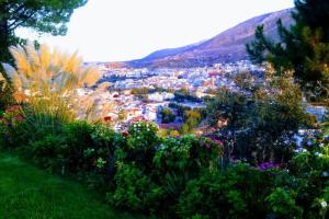 Alojamiento LA GUITARRA ANDALUZA