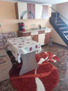 Teodora Andreea - 达内什