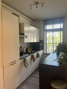 Cosy apartment near the city centre