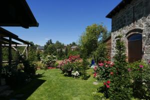 Róże i Jabłonie Agroturystyka