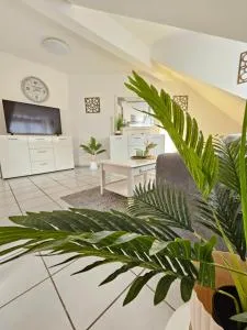 schöne DG Wohnung im Zentrum - Hackenheim