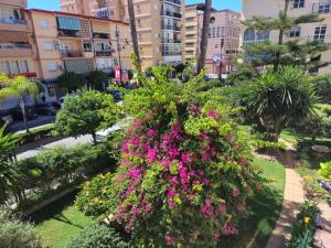 Sunny apartment in the Center, 5 min. from the Beach