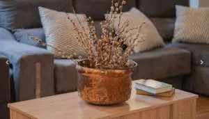 Salionca habitaciones - Montorio