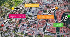 Centralish Dragon Heart Ljubljana 