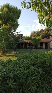 Agriturismo Il Sughereto - Appartamento Cattleya