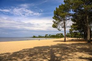 Maisons de vacances La petite Landaise : photos des chambres
