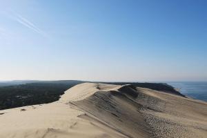 Maisons de vacances La petite Landaise : photos des chambres
