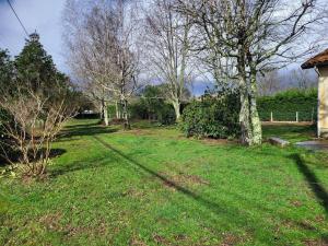 Maisons de vacances La petite Landaise : photos des chambres