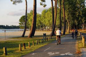Maisons de vacances La petite Landaise : photos des chambres