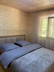 allone in the forest მარტო ტყეში