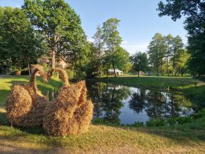 Camper and tent place in Jelgava