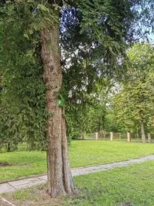 Camper and tent place in Jelgava - (( Falcgrāve ))