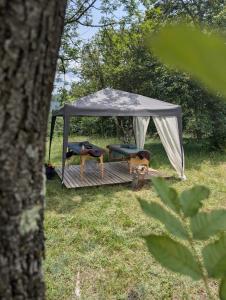 Campings Camping de la Lyre : photos des chambres