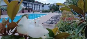 Éden apartman - Балатонфельвар