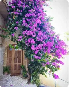 La Cantina: cosy stylish vaults - 卡萨尔博迪诺