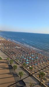 Violas Studio Shengjin