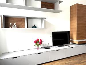 Luxury flat in downtown with free parking