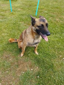 Appartements Studio au calme avec jardin : Appartement 1 Chambre