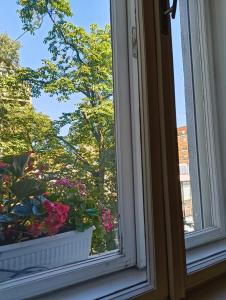 Apartment heart of the city