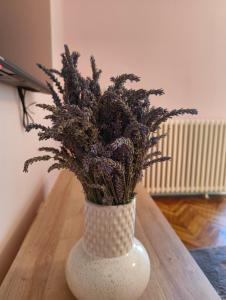 Apartment heart of the city