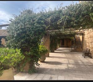 Masseria Sotto le Stelle Provenzani
