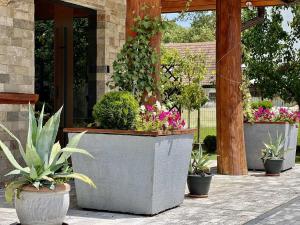 Pod Sosnami Termy 450m -20 procent na Termy