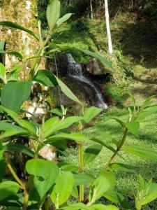 Friburgo Lagos p Pesca,Banho,Sauna,Campinho