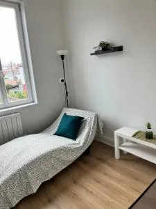 Studio Lille proche de la gare de lille flandres - 蒙桑巴勒尔