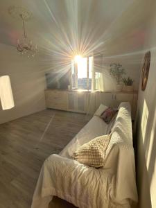 Hallera app