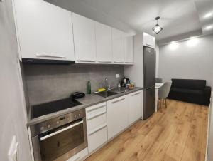 Starlight Downtown Apartment