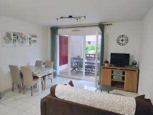 Appartement proche mer et montagnes du Pays-Basque - Ahetze