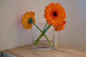 ONDARRETA ROOM with independent entrance