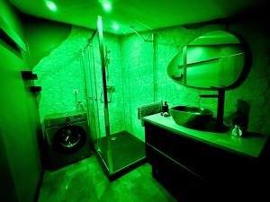 Appartements l-Atypique Jungle - Hyper Centre - Refait a neuf : photos des chambres