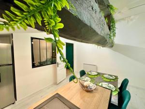 Appartements l-Atypique Jungle - Hyper Centre - Refait a neuf : photos des chambres