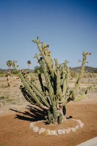 Vino Resort Son Amaret