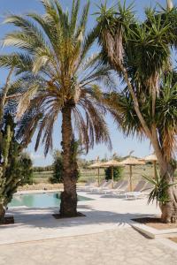 Vino Resort Son Amaret