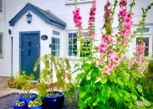 18th Century Cosy Cottage with Stunning Views