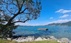 Terrace Apartment Einigen