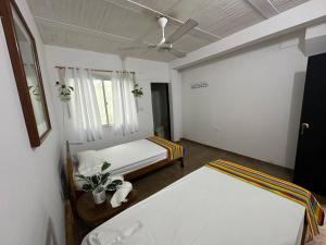 Hostal y Camping Villa Guadua Tayrona