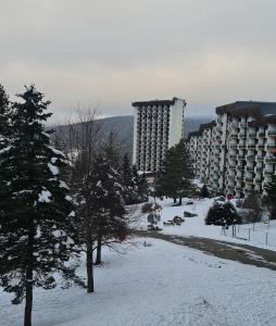 Studio pour 4 personnes pied dans les pistes