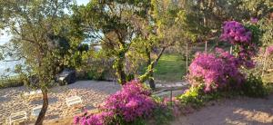 La casetta a due passi dal mare con spiaggia privata img18