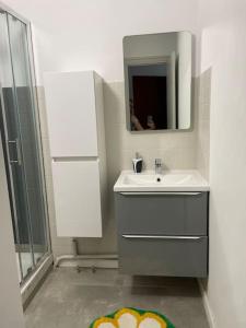 grand studio de 28 m2 plein centre de Canet plage