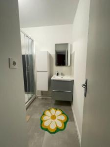 grand studio de 28 m2 plein centre de Canet plage