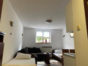 Bele Staze 3a Kopaonik, Brzece