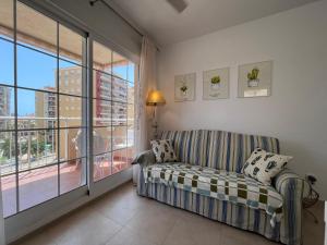 Los Cactus de Veneziola