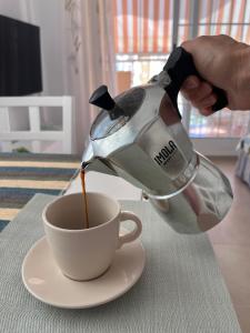 Los Cactus de Veneziola